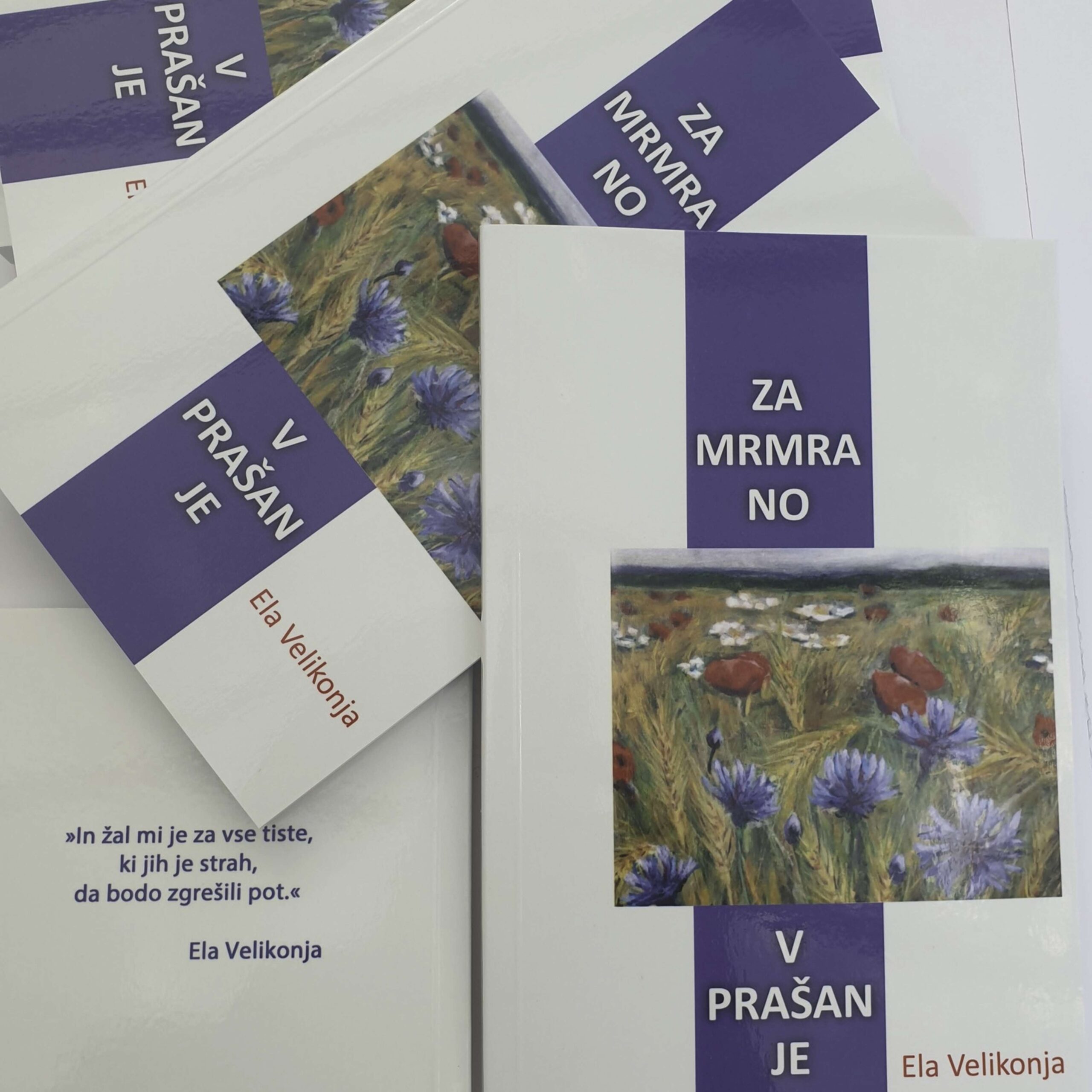 knjiga Zamrmrano vprašanje